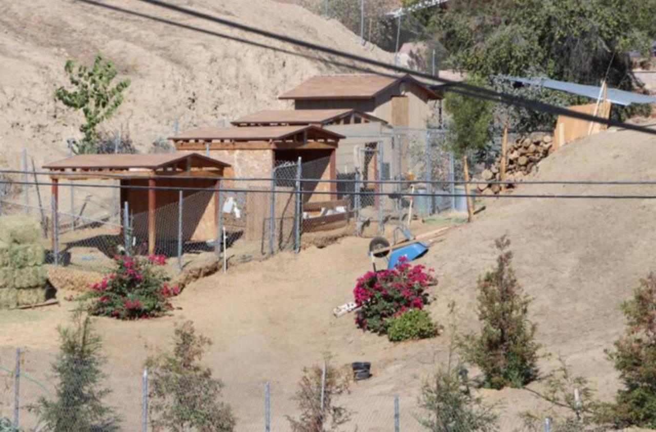 Mountain View Studio هيميت المظهر الخارجي الصورة